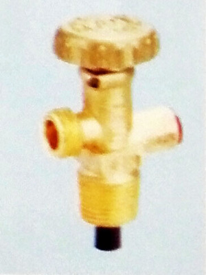 FY-HS-19